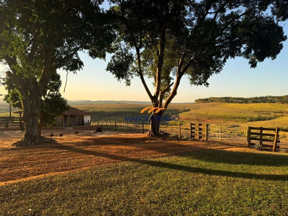 Fazenda, 571 hectares - Foto 4