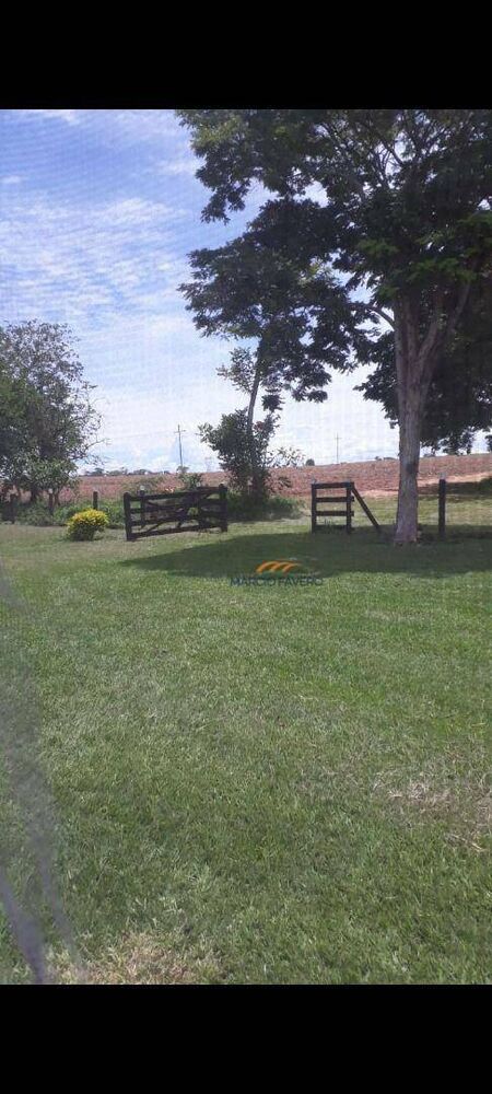 Sítio, 56 hectares - Foto 8