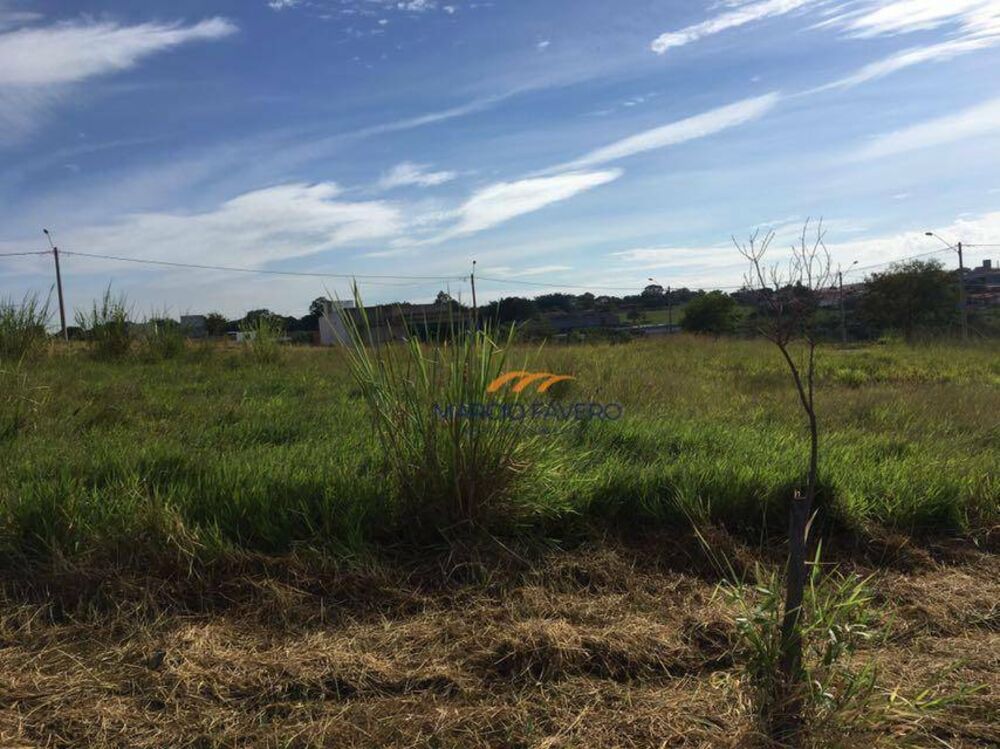 Terreno, 457 m² - Foto 6