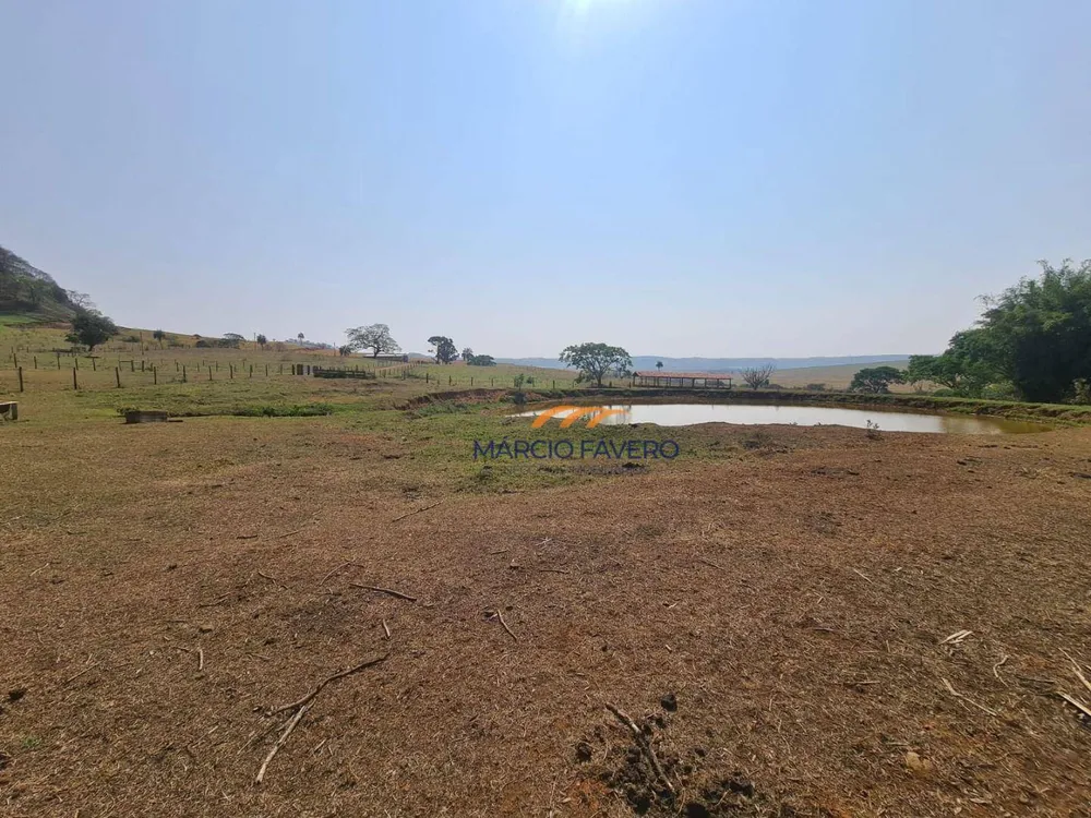 Fazenda, 230 hectares - Foto 12