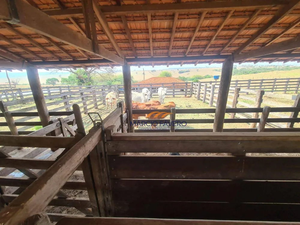 Fazenda, 230 hectares - Foto 8
