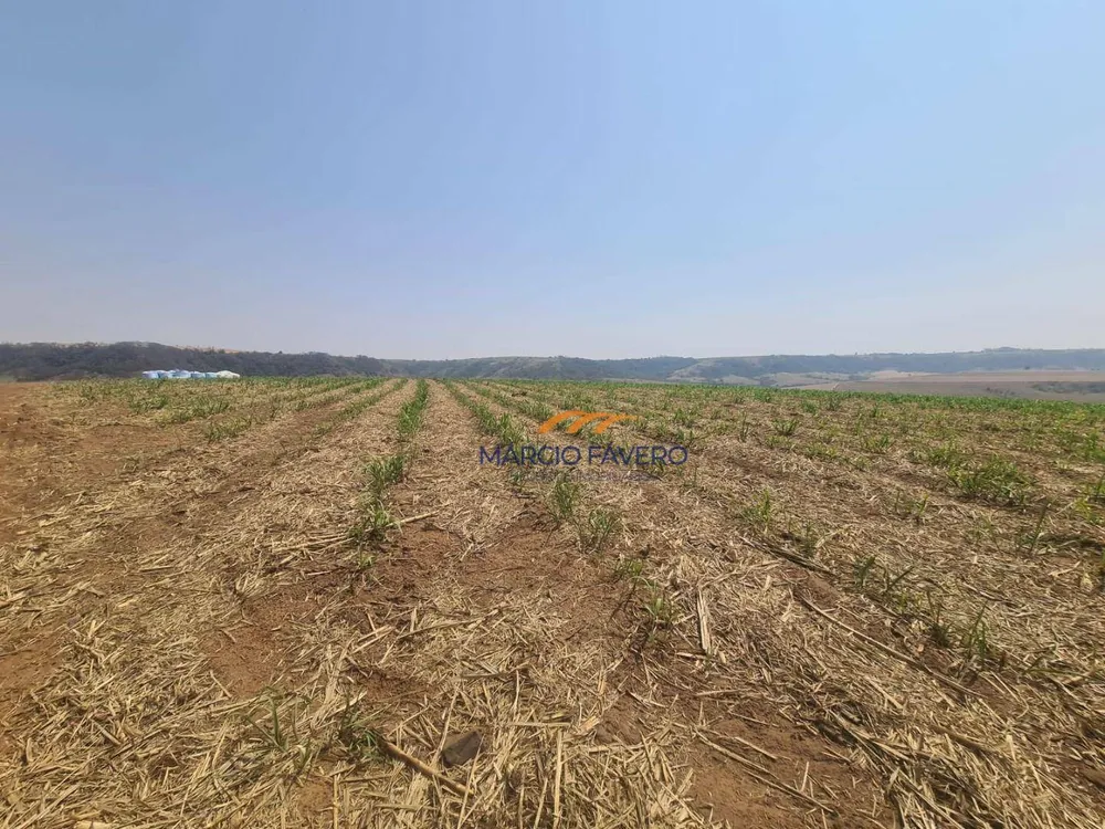 Fazenda, 230 hectares - Foto 19