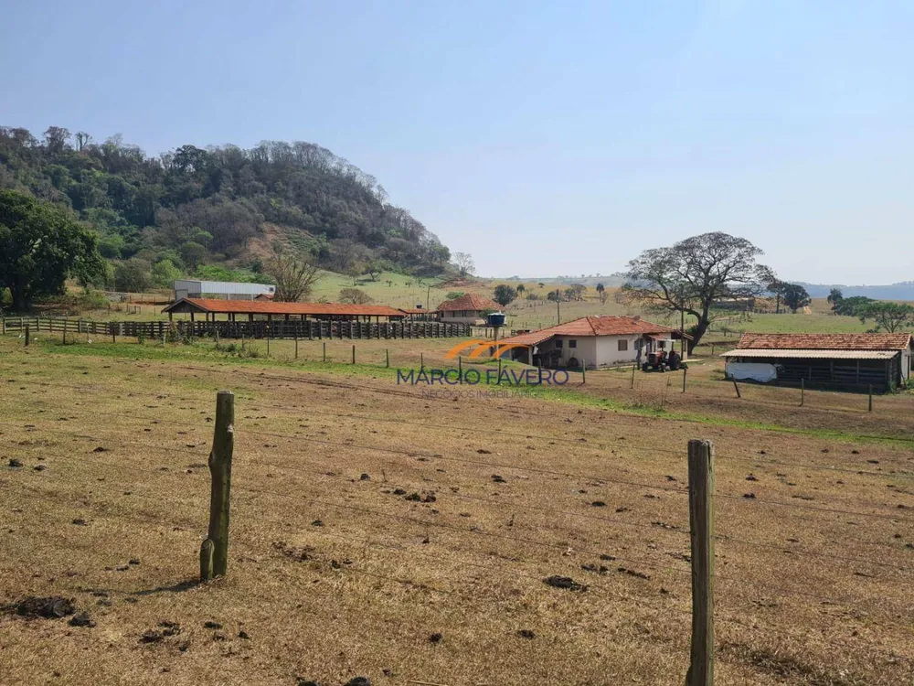 Fazenda, 230 hectares - Foto 4