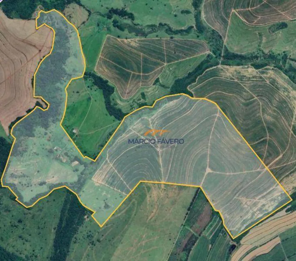 Fazenda, 230 hectares - Foto 14