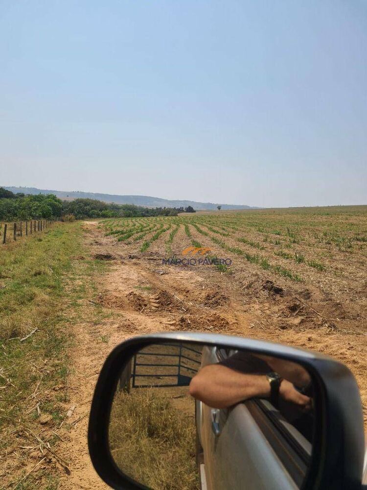 Fazenda, 230 hectares - Foto 8