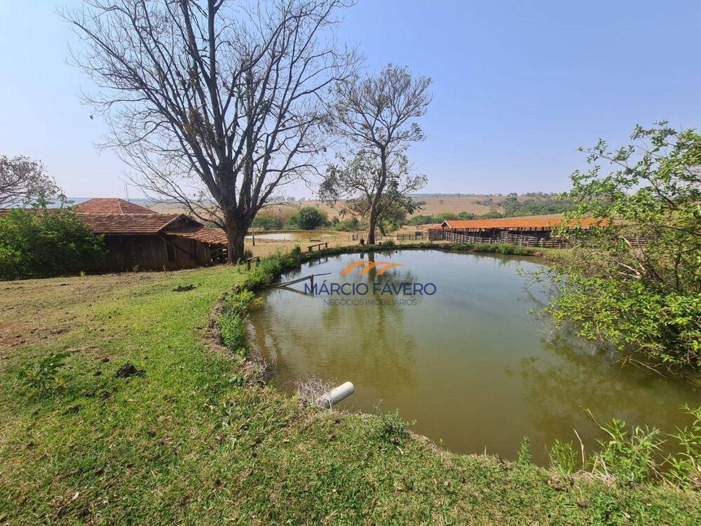 Fazenda, 230 hectares - Foto 2
