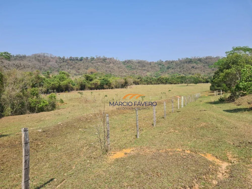 Fazenda, 230 hectares - Foto 17