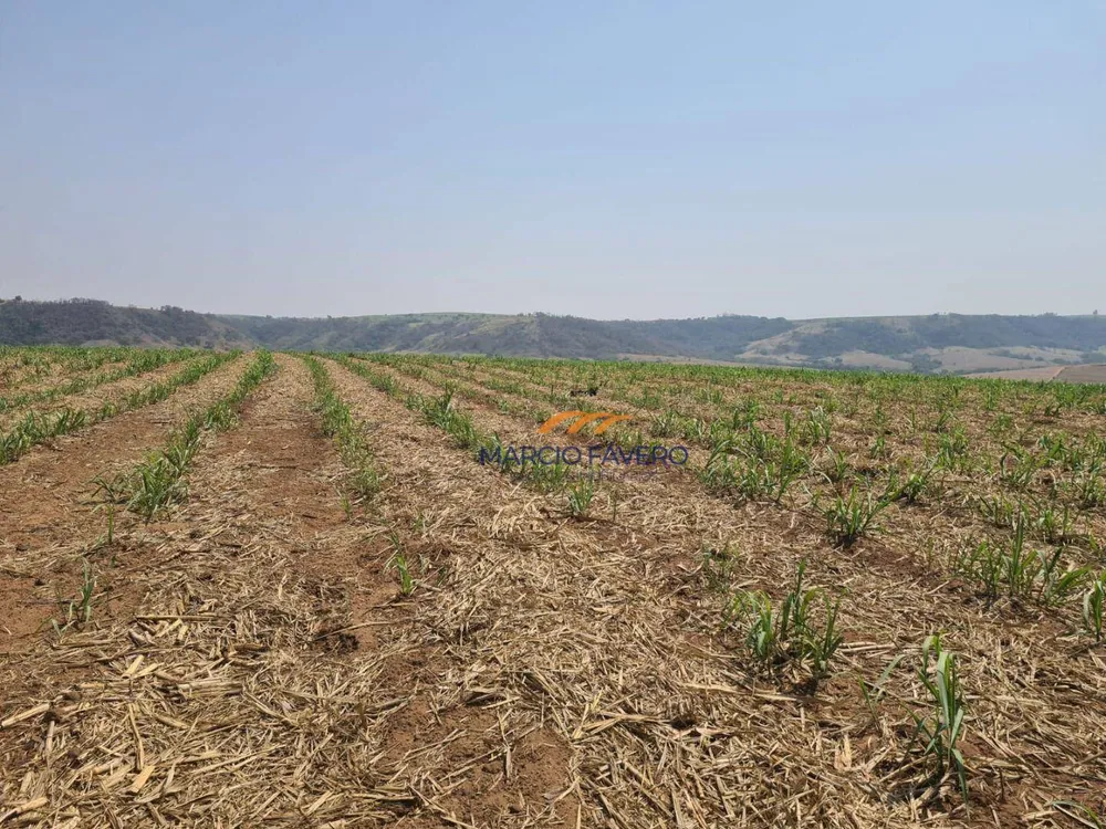 Fazenda, 230 hectares - Foto 20