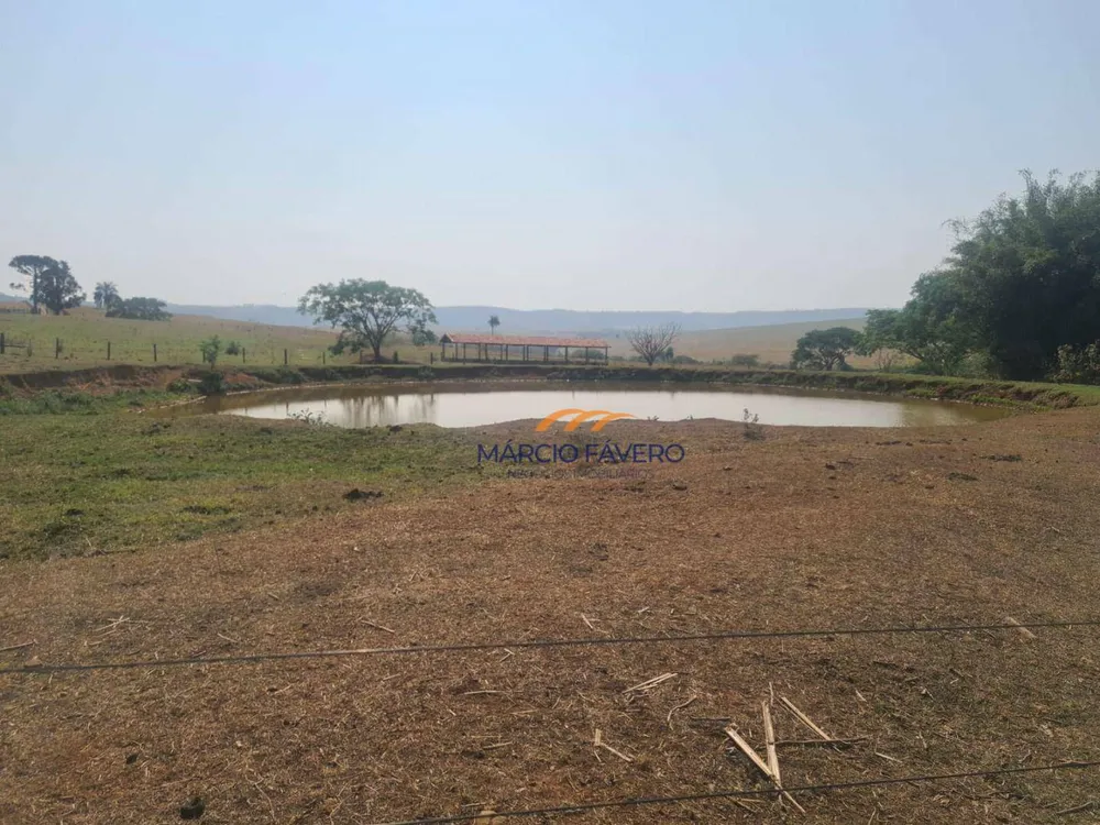 Fazenda, 230 hectares - Foto 13