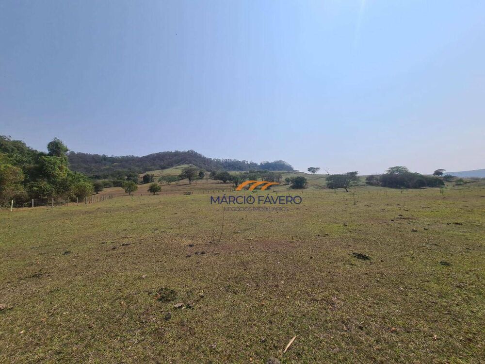 Fazenda, 230 hectares - Foto 7