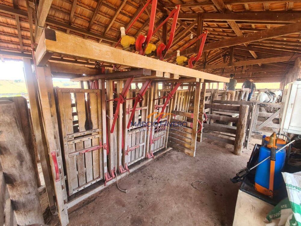 Fazenda, 230 hectares - Foto 6