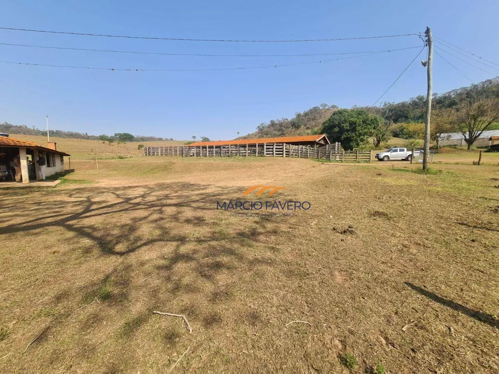 Fazenda, 230 hectares - Foto 11