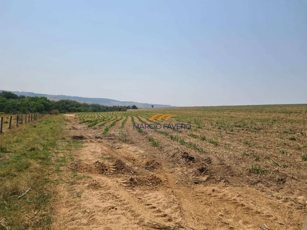 Fazenda, 230 hectares - Foto 9