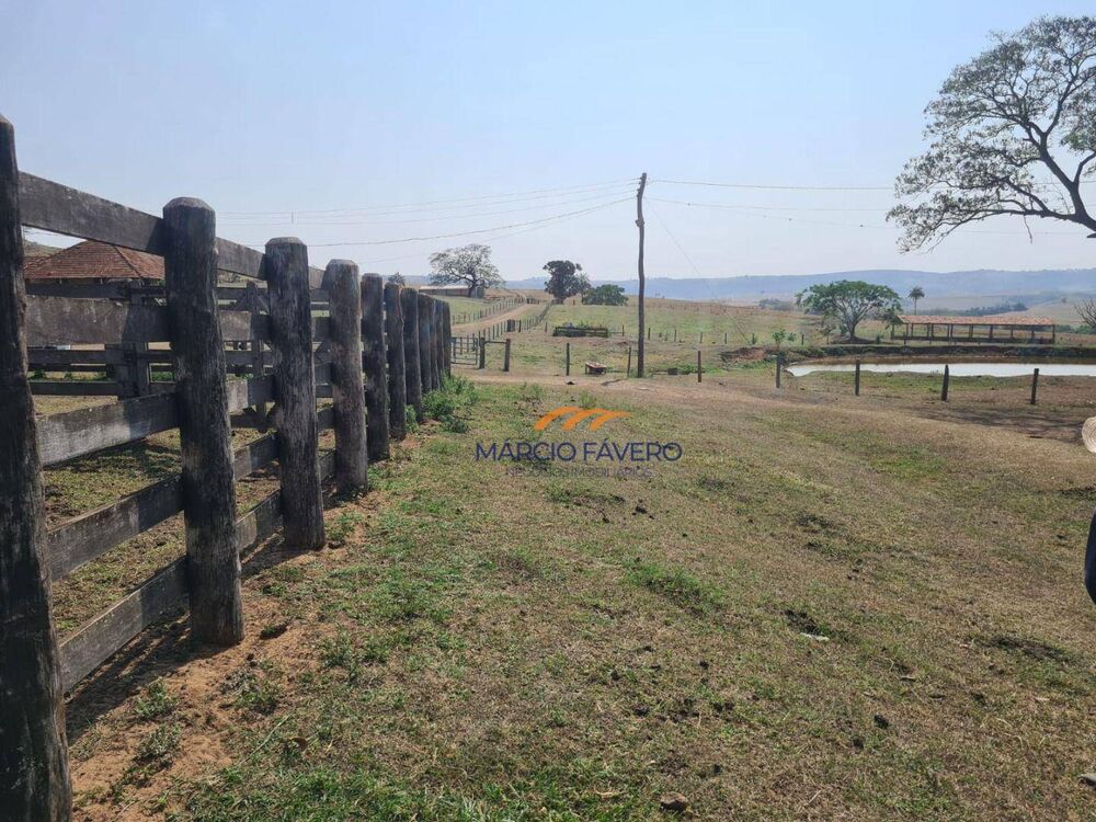 Fazenda, 230 hectares - Foto 5