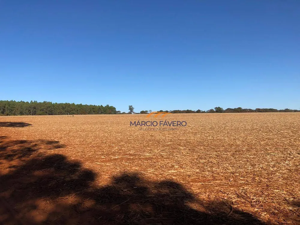 Fazenda, 230 hectares - Foto 9