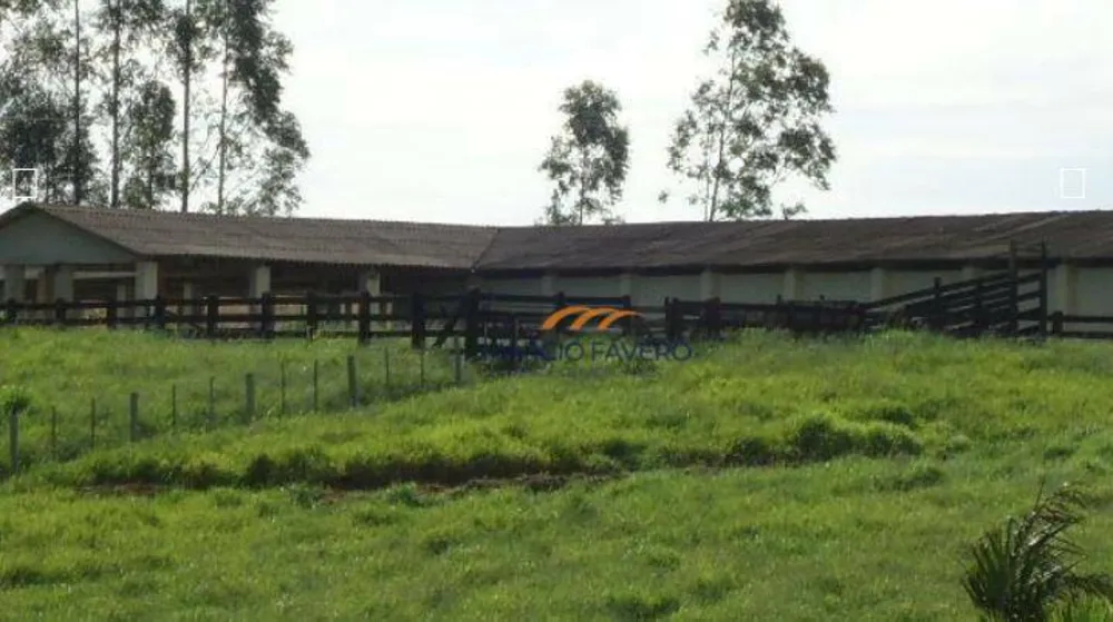 Fazenda, 230 hectares - Foto 4