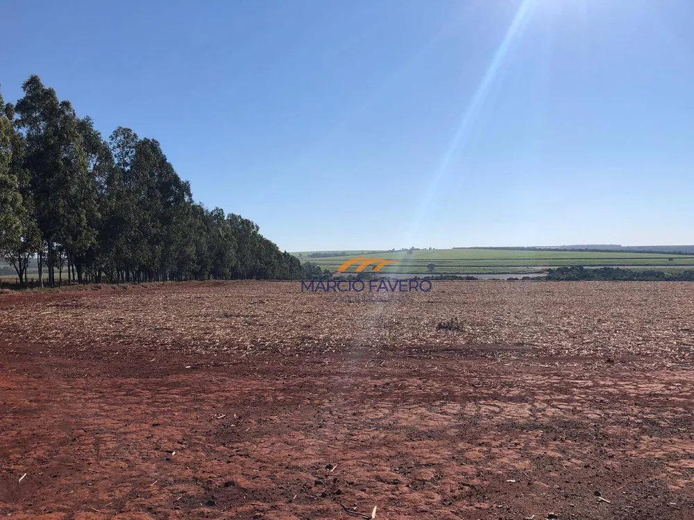 Fazenda, 230 hectares - Foto 7