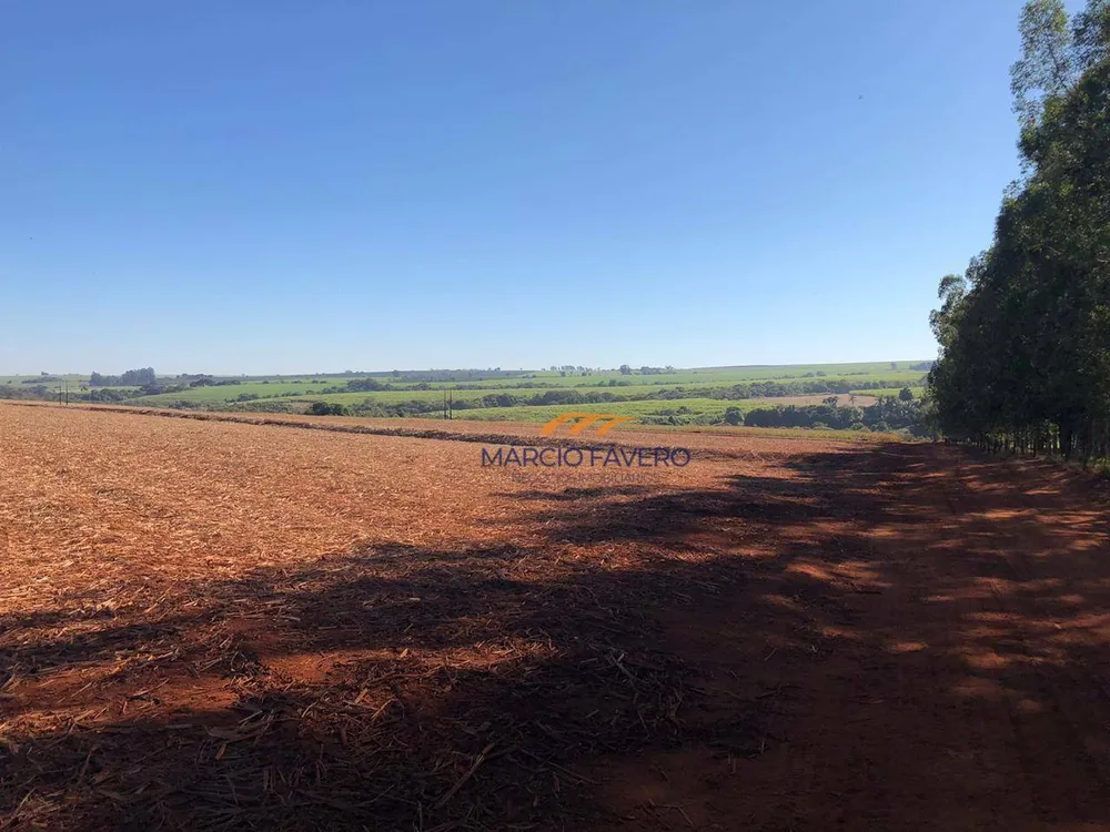 Fazenda, 230 hectares - Foto 1