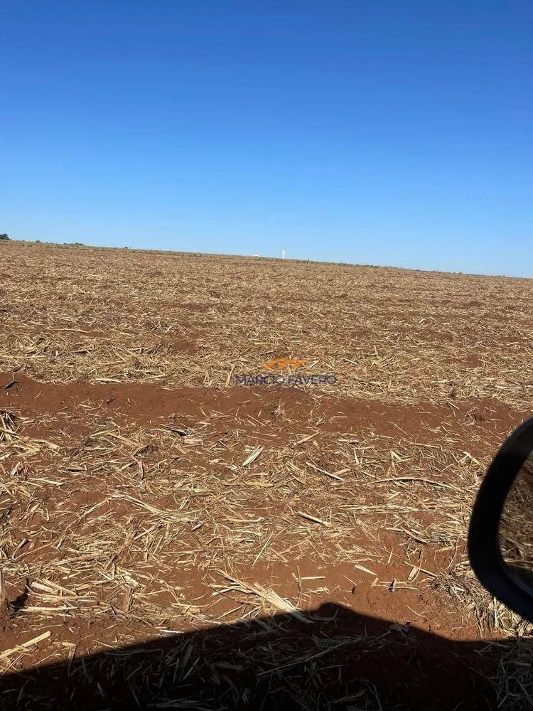 Fazenda, 230 hectares - Foto 2