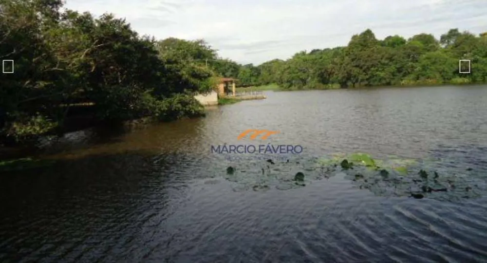 Fazenda, 230 hectares - Foto 6