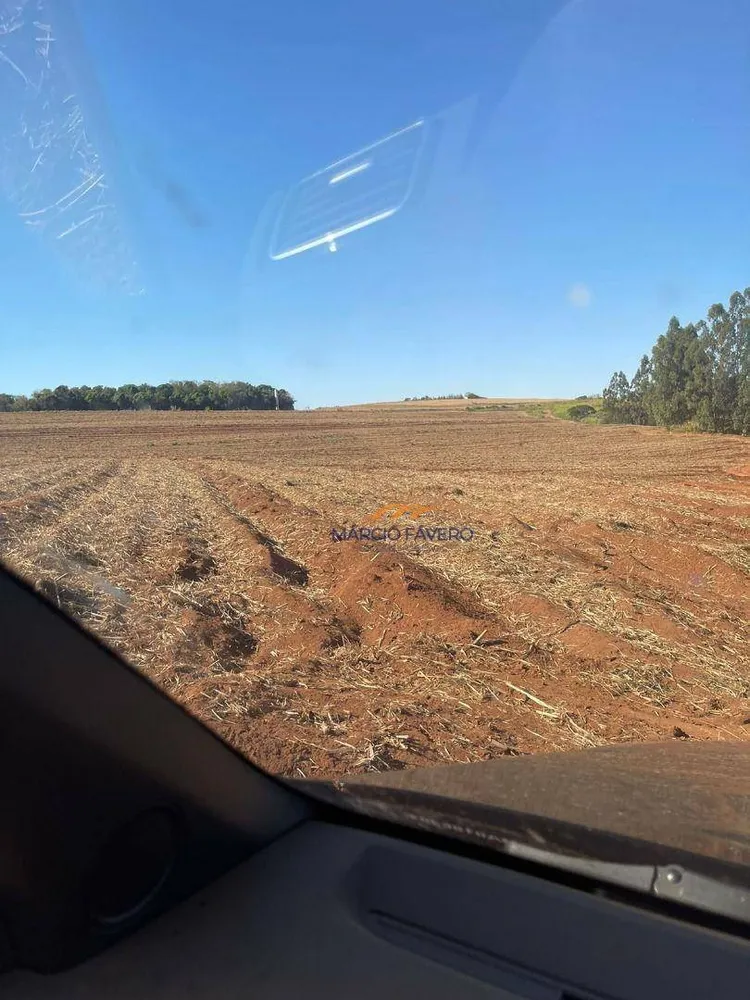 Fazenda, 230 hectares - Foto 8