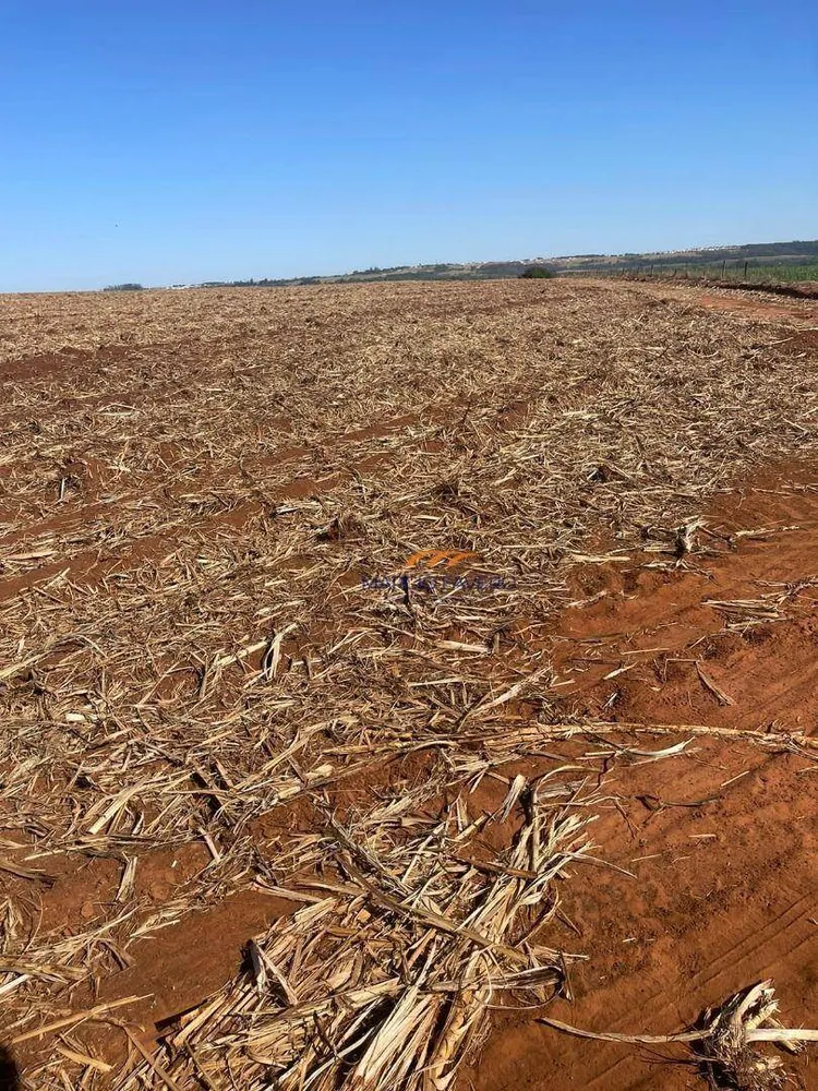 Fazenda, 230 hectares - Foto 6