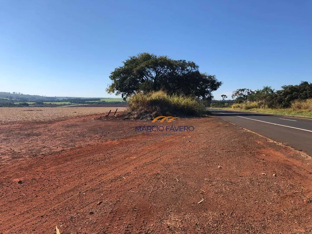 Fazenda, 230 hectares - Foto 12