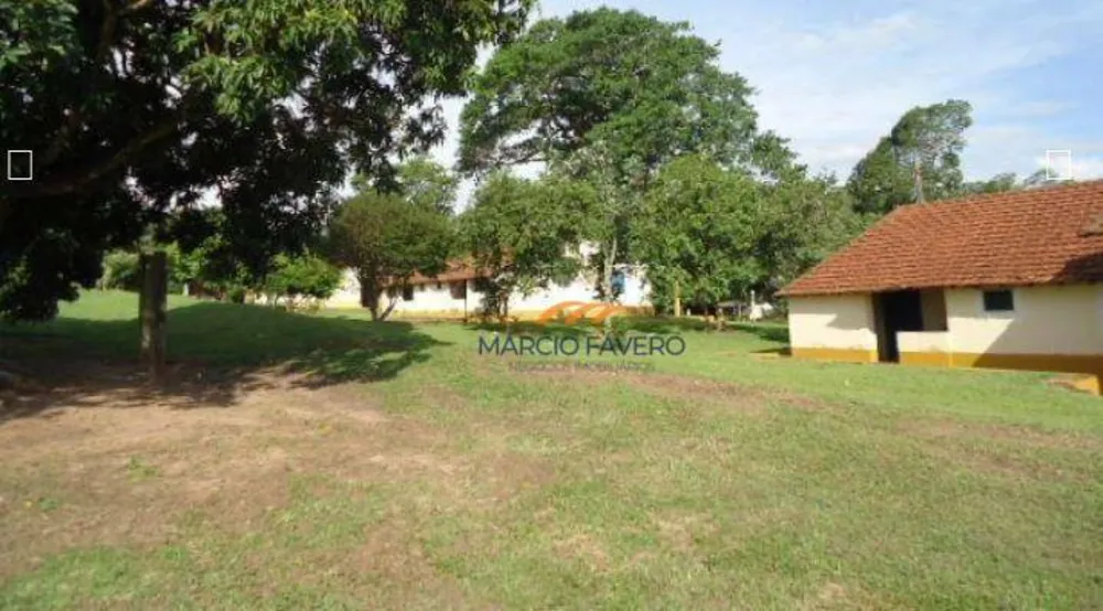 Fazenda, 230 hectares - Foto 3