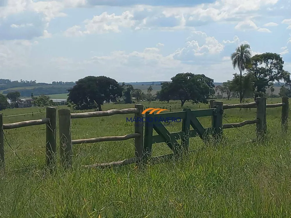 Fazenda, 358 hectares - Foto 11