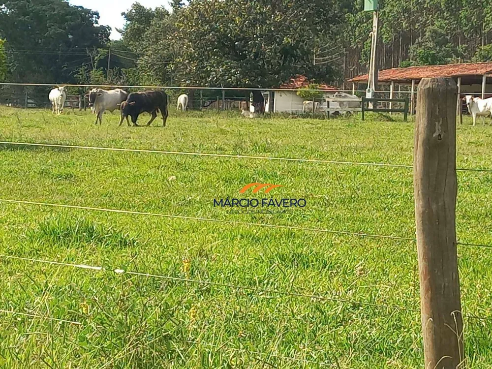 Fazenda, 358 hectares - Foto 12