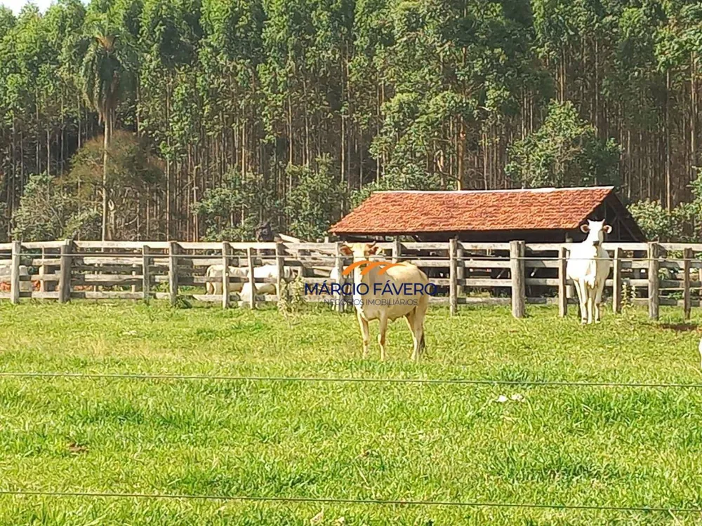 Fazenda, 358 hectares - Foto 13