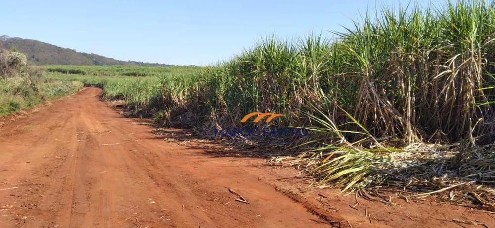 Fazenda, 167 hectares - Foto 4