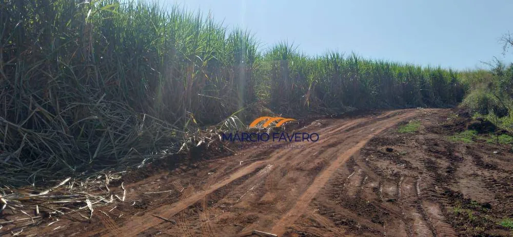 Fazenda, 167 hectares - Foto 2