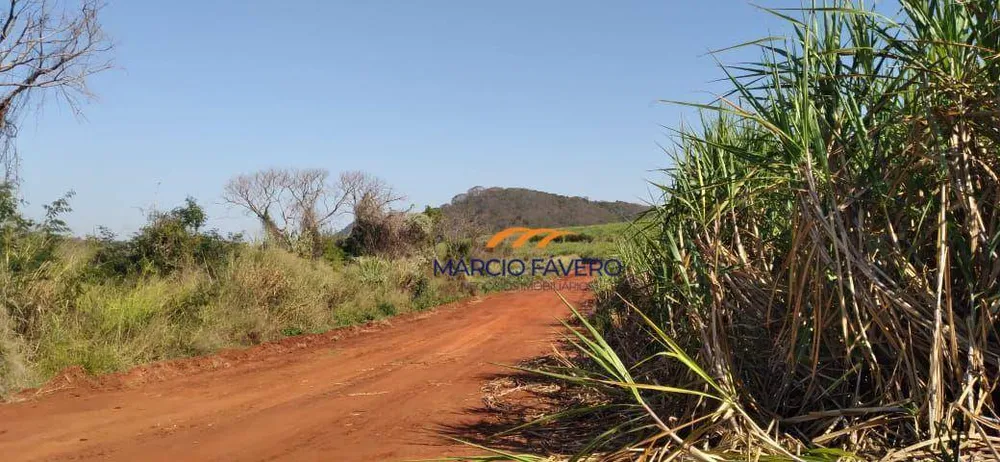 Fazenda, 167 hectares - Foto 3