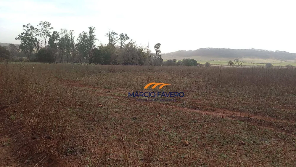 Fazenda, 329 hectares - Foto 8