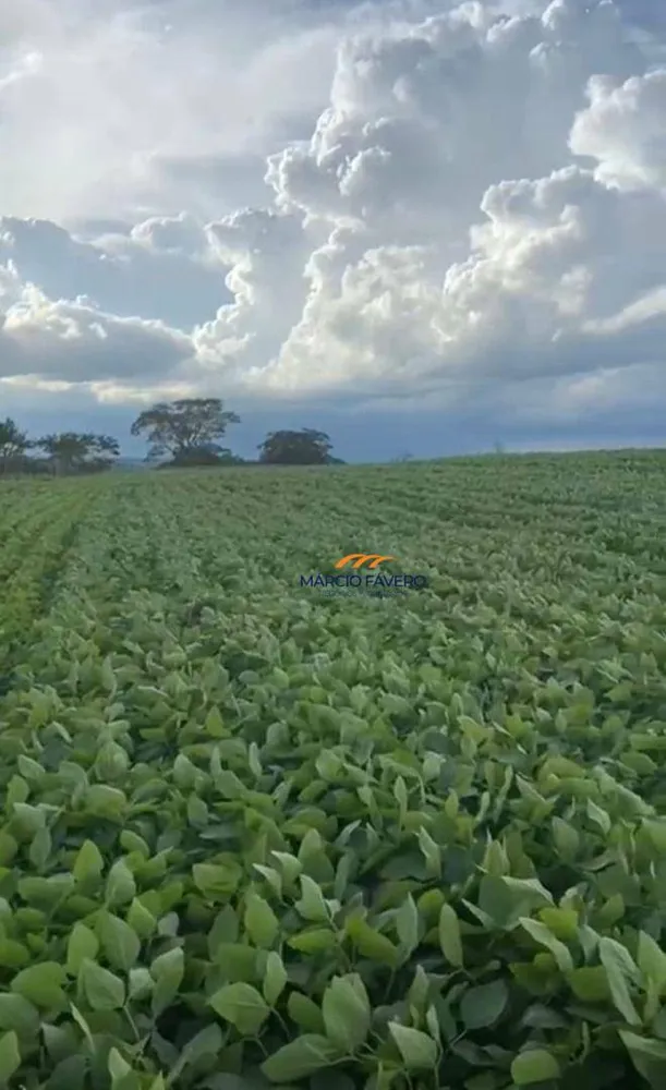 Fazenda, 329 hectares - Foto 13