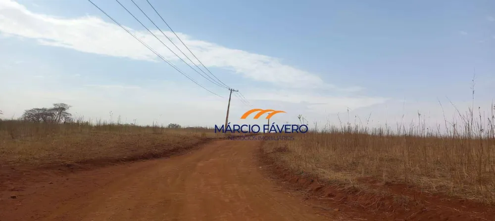 Fazenda, 329 hectares - Foto 7