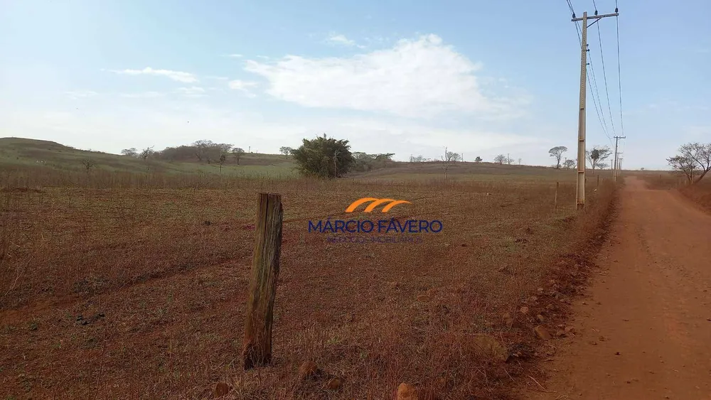 Fazenda, 329 hectares - Foto 11