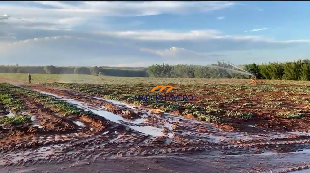 Fazenda, 329 hectares - Foto 6