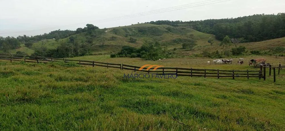 Sítio, 34 hectares - Foto 6