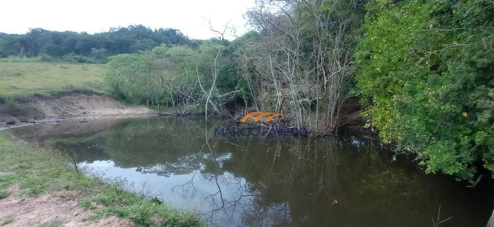 Sítio, 34 hectares - Foto 4