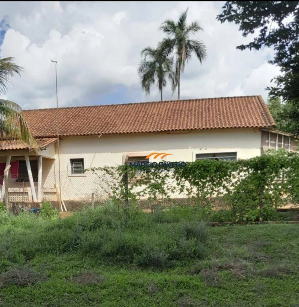 Fazenda, 339 hectares - Foto 6