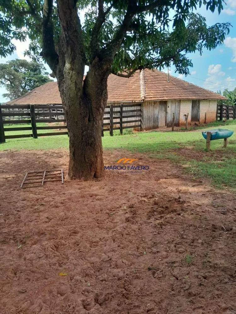 Fazenda, 339 hectares - Foto 4