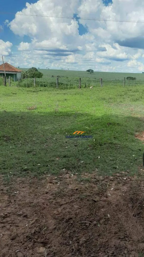 Fazenda, 339 hectares - Foto 8