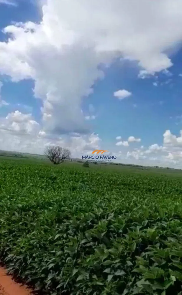 Fazenda, 339 hectares - Foto 3