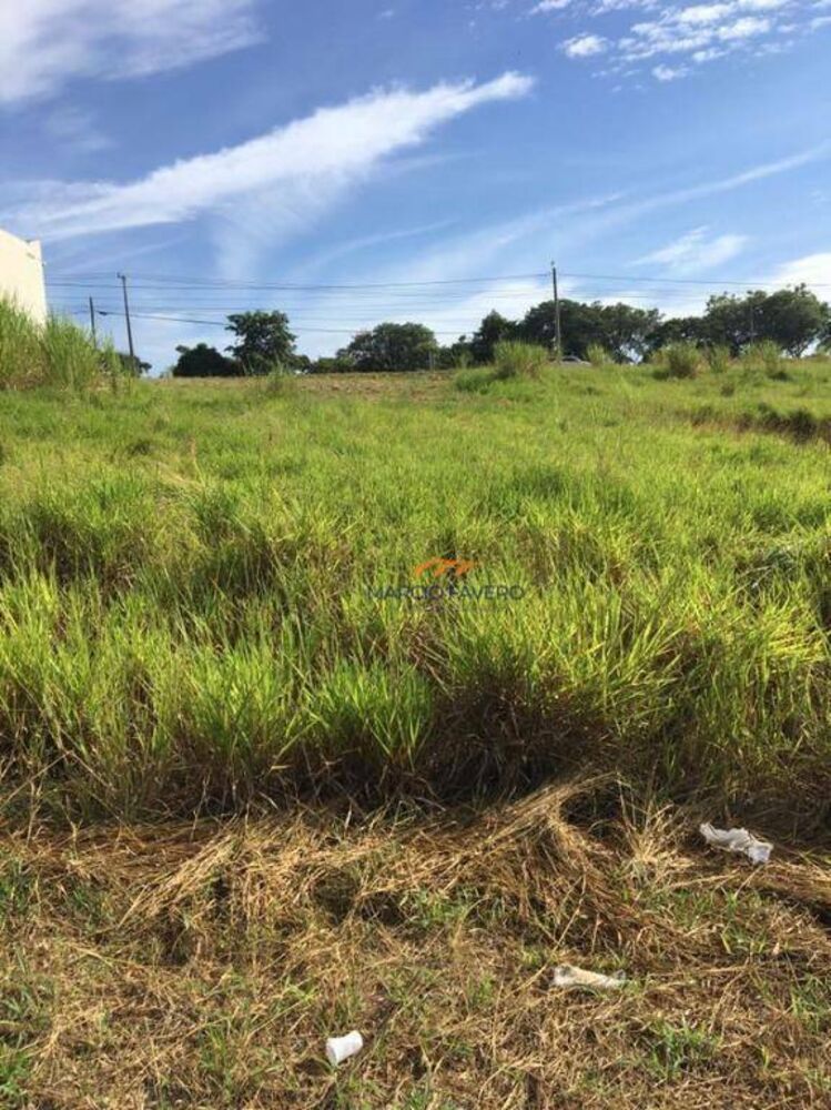 Terreno, 250 m² - Foto 1