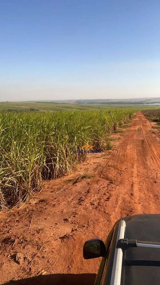 Fazenda, 893 hectares - Foto 2