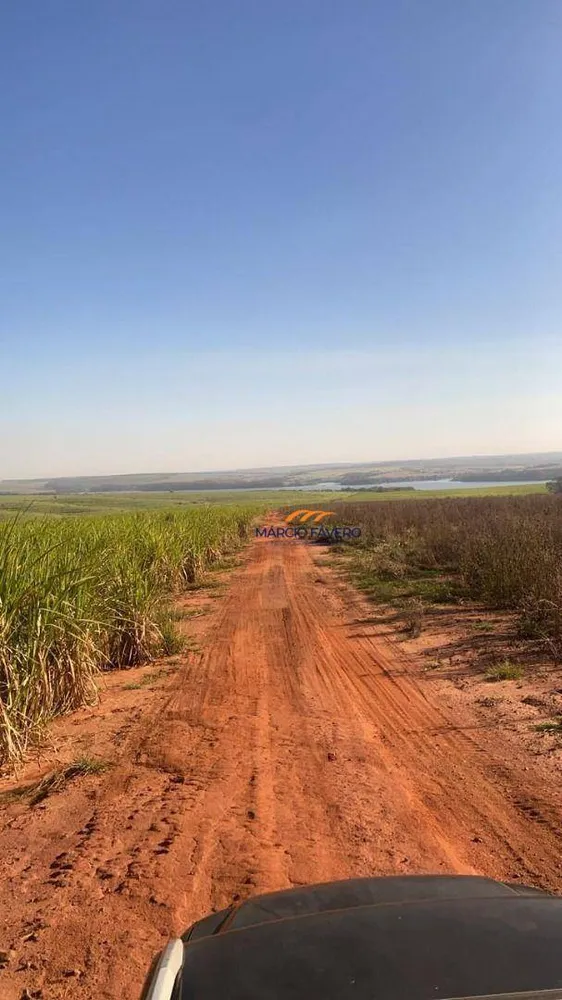Fazenda, 893 hectares - Foto 4