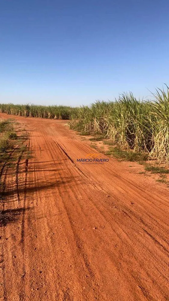 Fazenda, 893 hectares - Foto 1