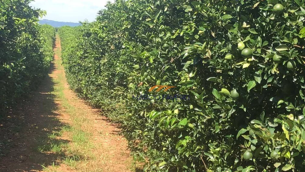 Fazenda à venda, 8470000M2 - Foto 3